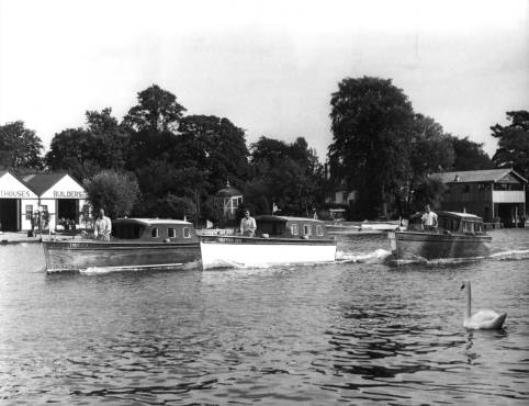 Three boats on the River Thames with swan in the foreground